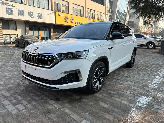 【柯米克怎样毛病多吗,柯米克小毛病】