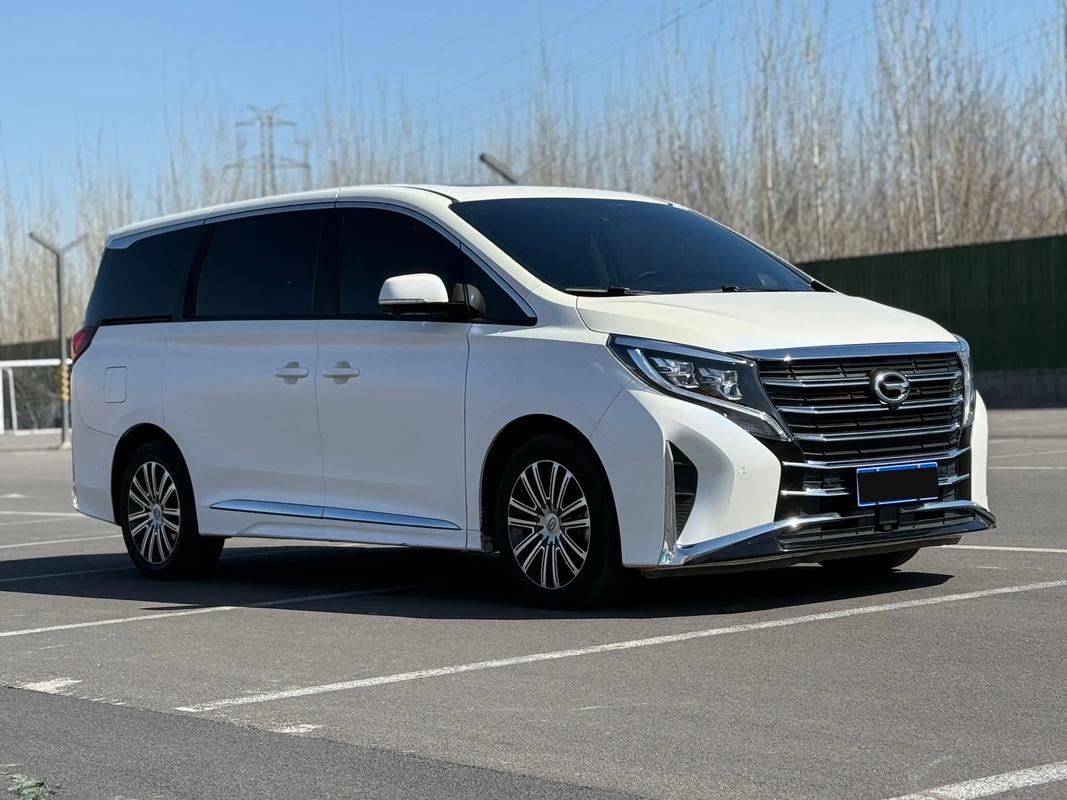 广汽传祺390t多少钱 广汽传祺390t商务车