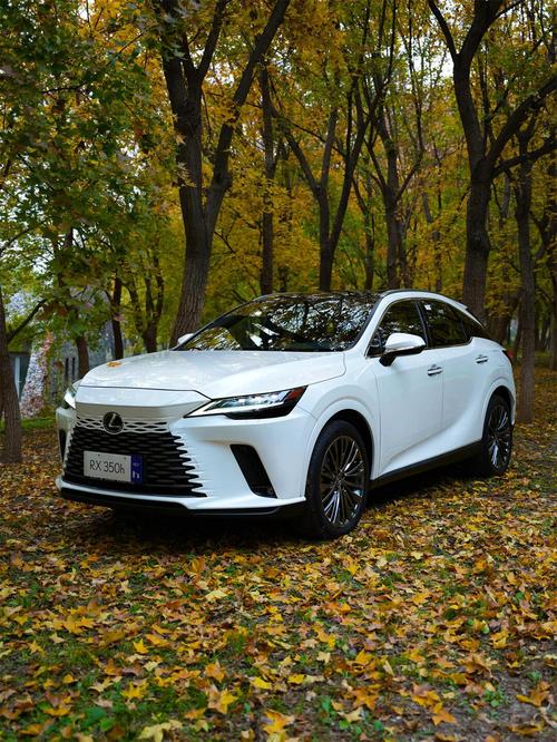 23款全新一代雷克萨斯rx/雷克萨斯 2022 rx